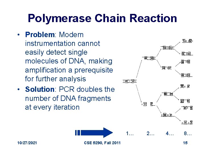 Polymerase Chain Reaction • Problem: Modern instrumentation cannot easily detect single molecules of DNA,