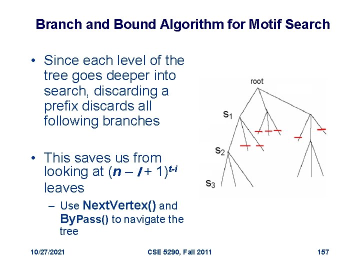 Branch and Bound Algorithm for Motif Search • Since each level of the tree