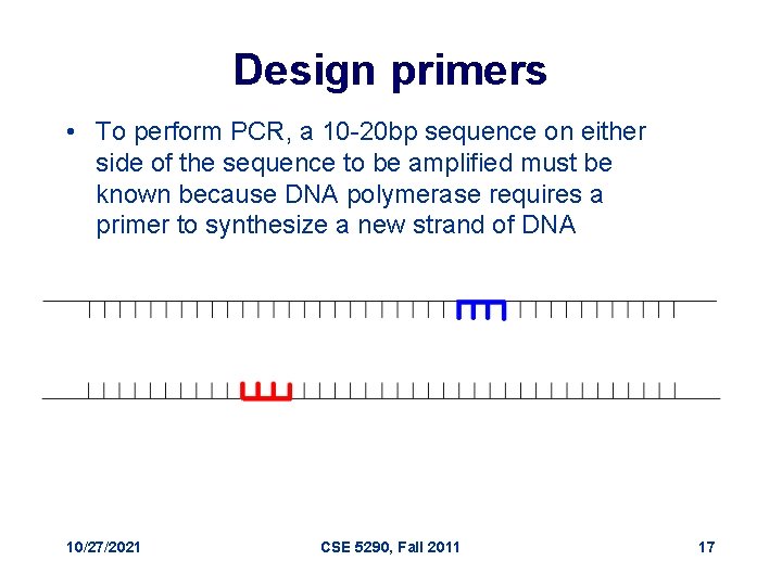 Design primers • To perform PCR, a 10 -20 bp sequence on either side