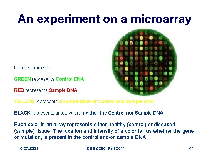 An experiment on a microarray In this schematic: GREEN represents Control DNA RED represents