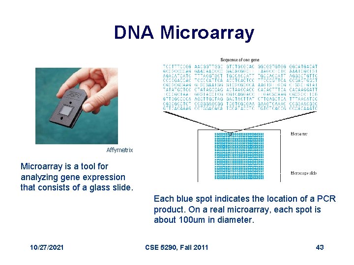 DNA Microarray Affymetrix Microarray is a tool for analyzing gene expression that consists of
