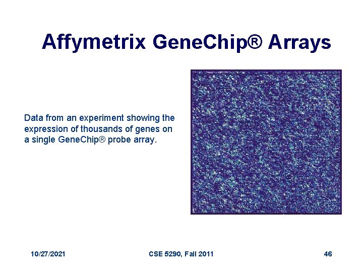 Affymetrix Gene. Chip® Arrays Data from an experiment showing the expression of thousands of