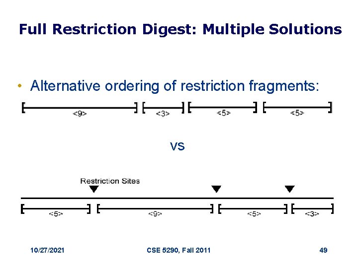 Full Restriction Digest: Multiple Solutions • Alternative ordering of restriction fragments: vs 10/27/2021 CSE