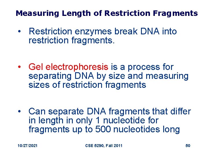 Measuring Length of Restriction Fragments • Restriction enzymes break DNA into restriction fragments. •