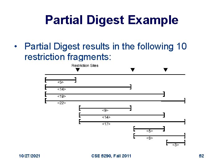 Partial Digest Example • Partial Digest results in the following 10 restriction fragments: 10/27/2021