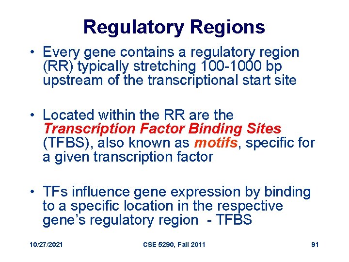 Regulatory Regions • Every gene contains a regulatory region (RR) typically stretching 100 -1000