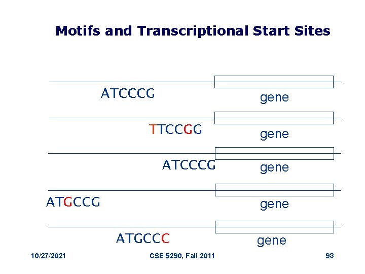 Motifs and Transcriptional Start Sites ATCCCG gene TTCCGG ATCCCG ATGCCG gene ATGCCC 10/27/2021 gene