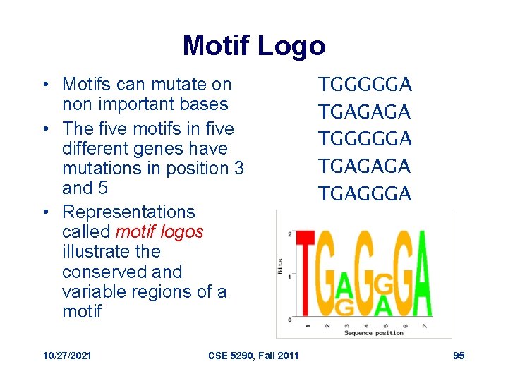 Motif Logo • Motifs can mutate on non important bases • The five motifs