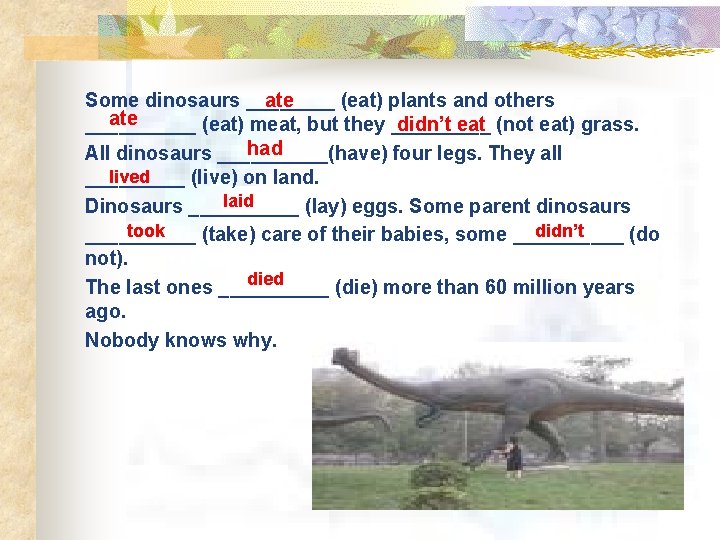 ate Some dinosaurs ____ (eat) plants and others ate didn’t eat (not eat) grass.