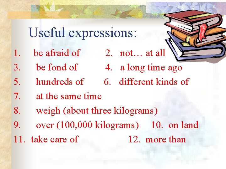Useful expressions: 1. 3. 5. 7. 8. 9. 11. be afraid of 2. not…