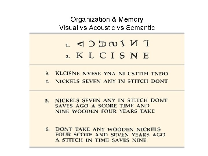 Organization & Memory Visual vs Acoustic vs Semantic 