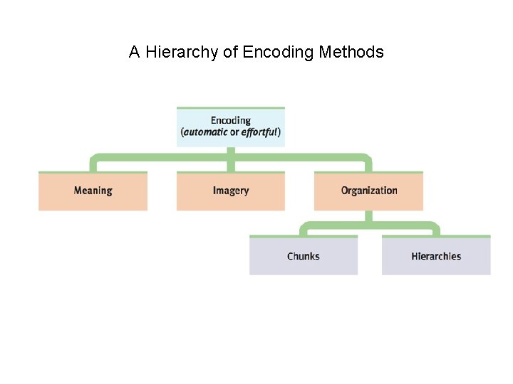 A Hierarchy of Encoding Methods 