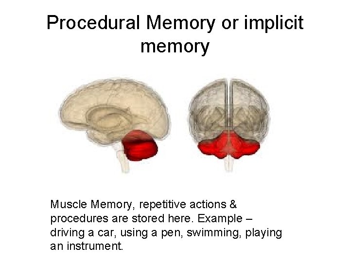 Procedural Memory or implicit memory Muscle Memory, repetitive actions & procedures are stored here.