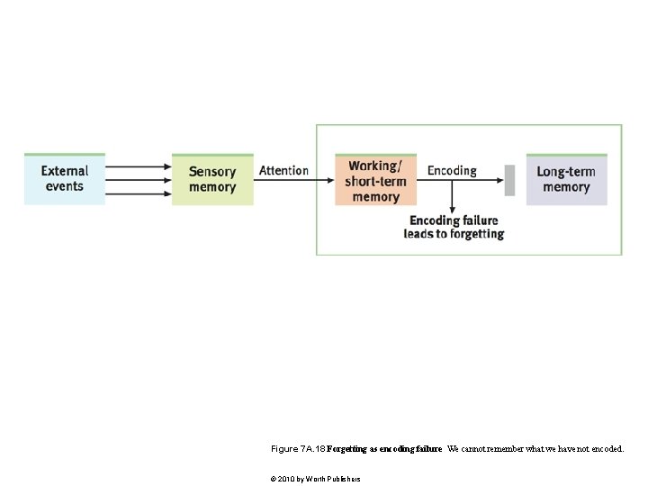 Figure 7 A. 18 Forgetting as encoding failure We cannot remember what we have