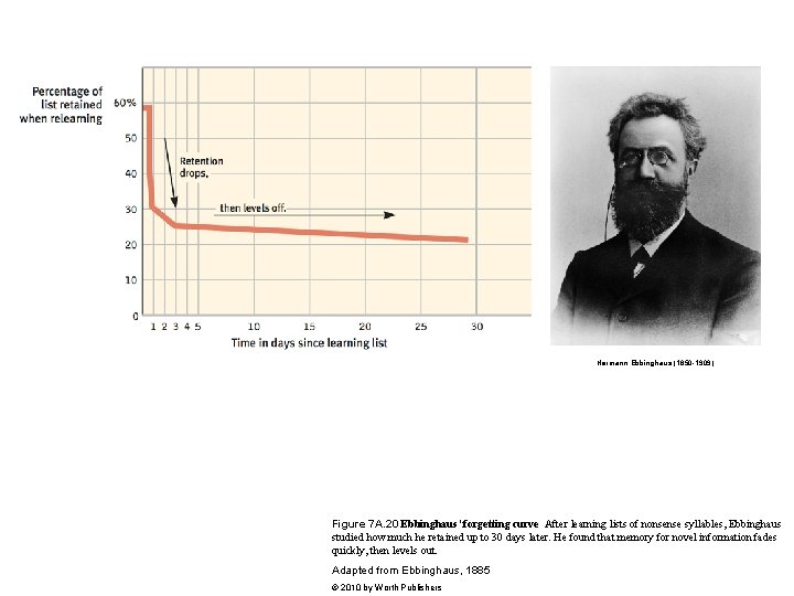 Hermann Ebbinghaus (1850 -1909) Figure 7 A. 20 Ebbinghaus’ forgetting curve After learning lists