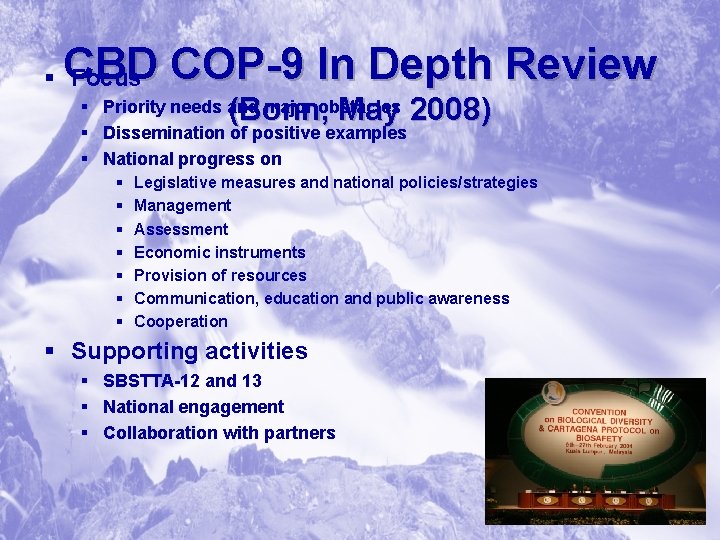 CBD COP-9 In Depth Review § Focus (Bonn, May 2008) § Priority needs and