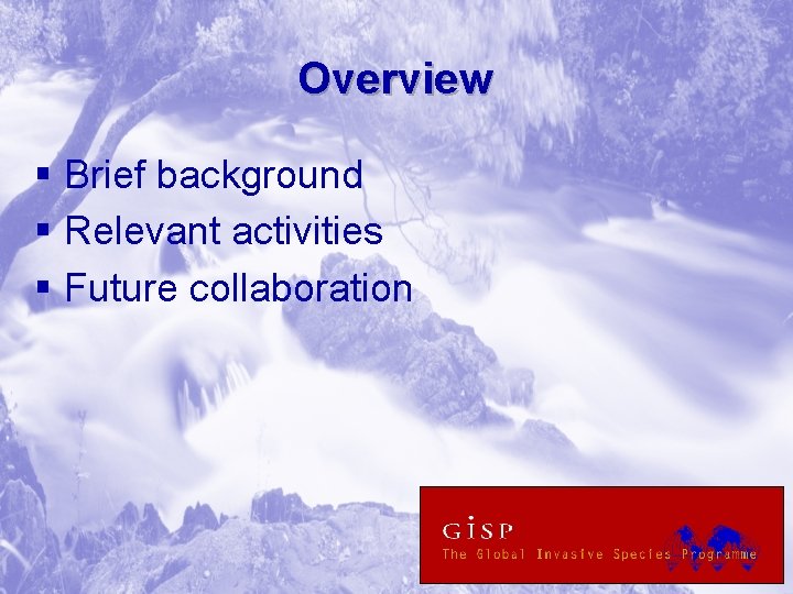 Overview § Brief background § Relevant activities § Future collaboration 