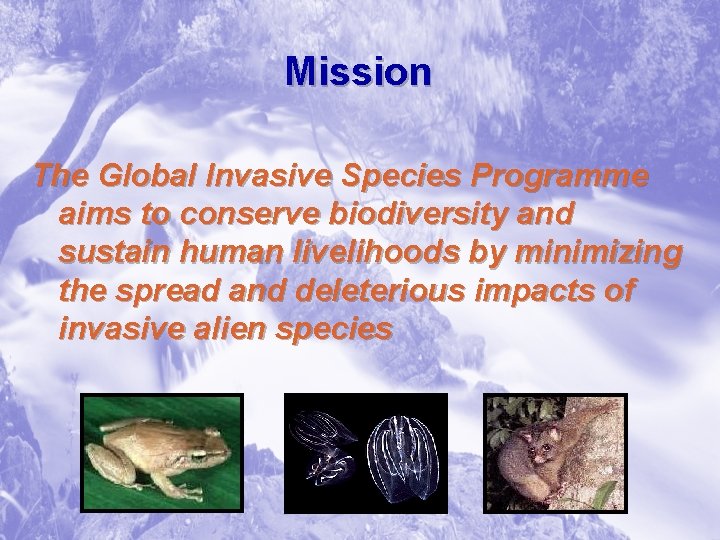 Mission The Global Invasive Species Programme aims to conserve biodiversity and sustain human livelihoods