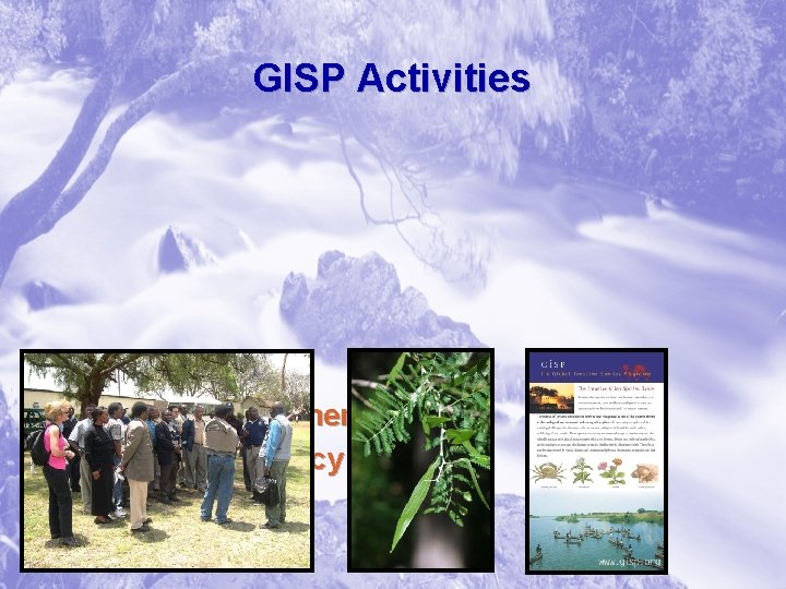 GISP Activities § Information tools § Country engagement § International policy efforts 