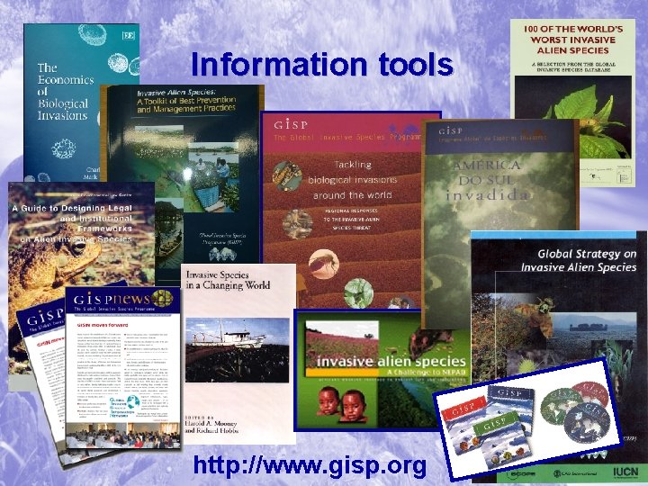 Information tools http: //www. gisp. org 