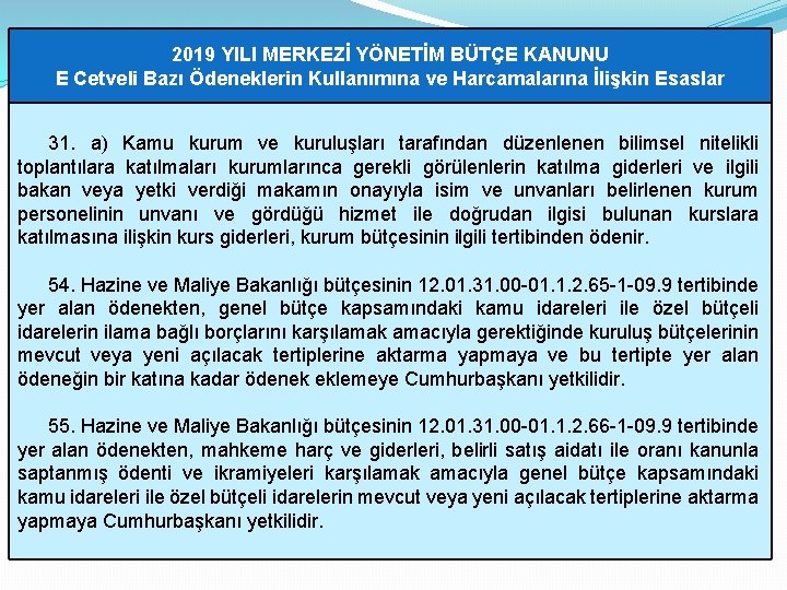 2019 YILI MERKEZİ YÖNETİM BÜTÇE KANUNU E Cetveli Bazı Ödeneklerin Kullanımına ve Harcamalarına İlişkin