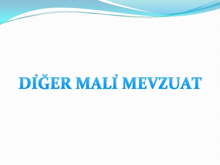 DİĞER MALİ MEVZUAT 