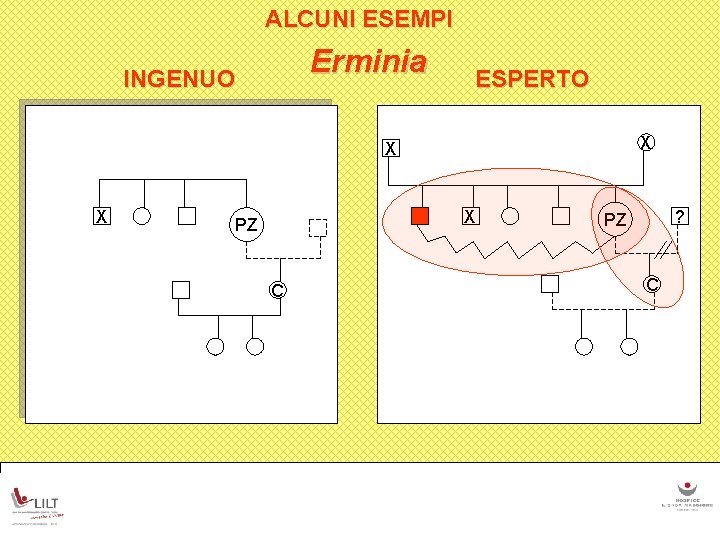 ALCUNI ESEMPI Erminia INGENUO ESPERTO X X PZ C ? PZ C 