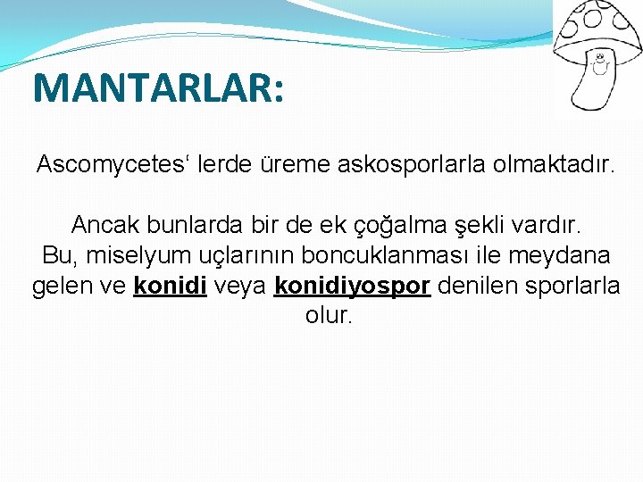 MANTARLAR: Ascomycetes‘ lerde üreme askosporlarla olmaktadır. Ancak bunlarda bir de ek çoğalma şekli vardır.