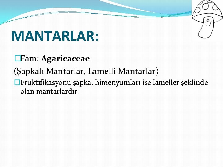 MANTARLAR: �Fam: Agaricaceae (Şapkalı Mantarlar, Lamelli Mantarlar) �Fruktifikasyonu şapka, himenyumları ise lameller şeklinde olan