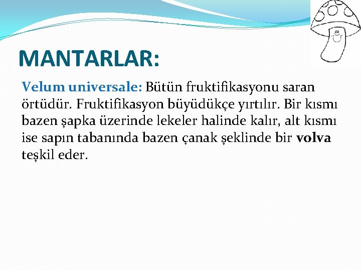 MANTARLAR: Velum universale: Bütün fruktifikasyonu saran örtüdür. Fruktifikasyon büyüdükçe yırtılır. Bir kısmı bazen şapka