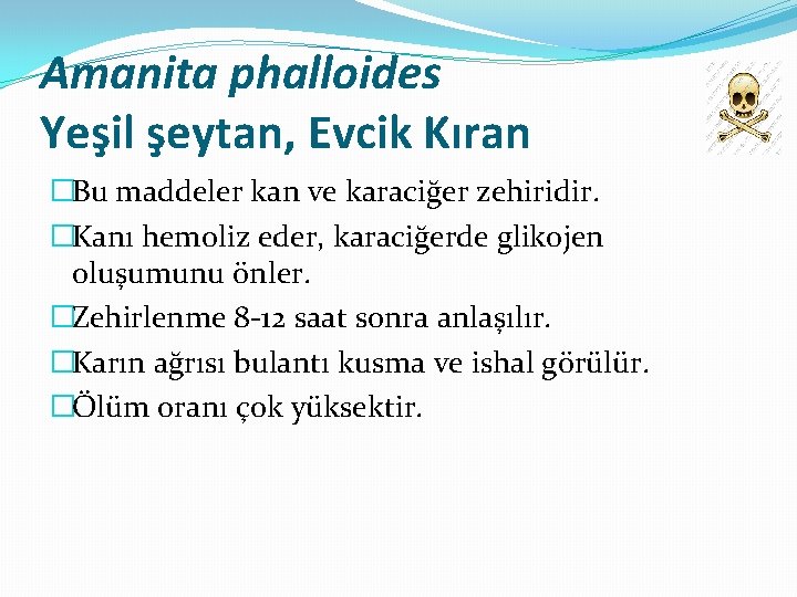 Amanita phalloides Yeşil şeytan, Evcik Kıran �Bu maddeler kan ve karaciğer zehiridir. �Kanı hemoliz