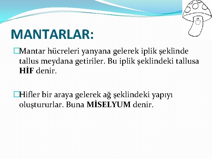 MANTARLAR: �Mantar hücreleri yanyana gelerek iplik şeklinde tallus meydana getiriler. Bu iplik şeklindeki tallusa