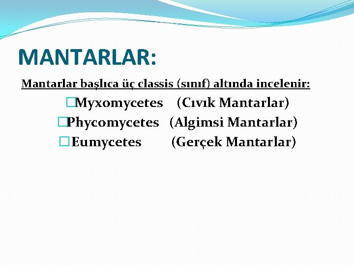 MANTARLAR: Mantarlar başlıca üç classis (sınıf) altında incelenir: �Myxomycetes (Cıvık Mantarlar) �Phycomycetes (Algimsi Mantarlar)