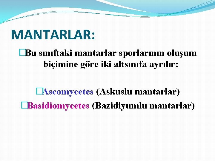 MANTARLAR: �Bu sınıftaki mantarlar sporlarının oluşum biçimine göre iki altsınıfa ayrılır: �Ascomycetes (Askuslu mantarlar)