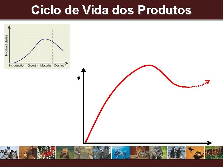 Ciclo de Vida dos Produtos $ 