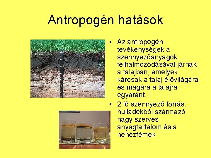 Antropogén hatások • Az antropogén tevékenységek a szennyezőanyagok felhalmozódásával járnak a talajban, amelyek károsak