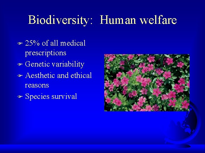Biodiversity: Human welfare 25% of all medical prescriptions F Genetic variability F Aesthetic and