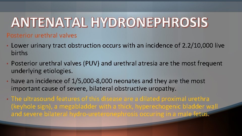 ANTENATAL HYDRONEPHROSIS Posterior urethral valves • Lower urinary tract obstruction occurs with an incidence