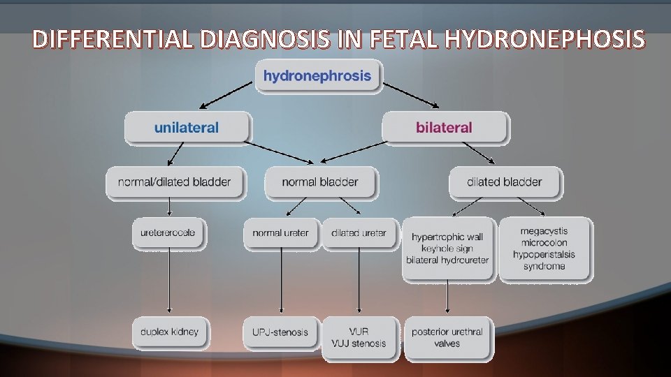 DIFFERENTIAL DIAGNOSIS IN FETAL HYDRONEPHOSIS 