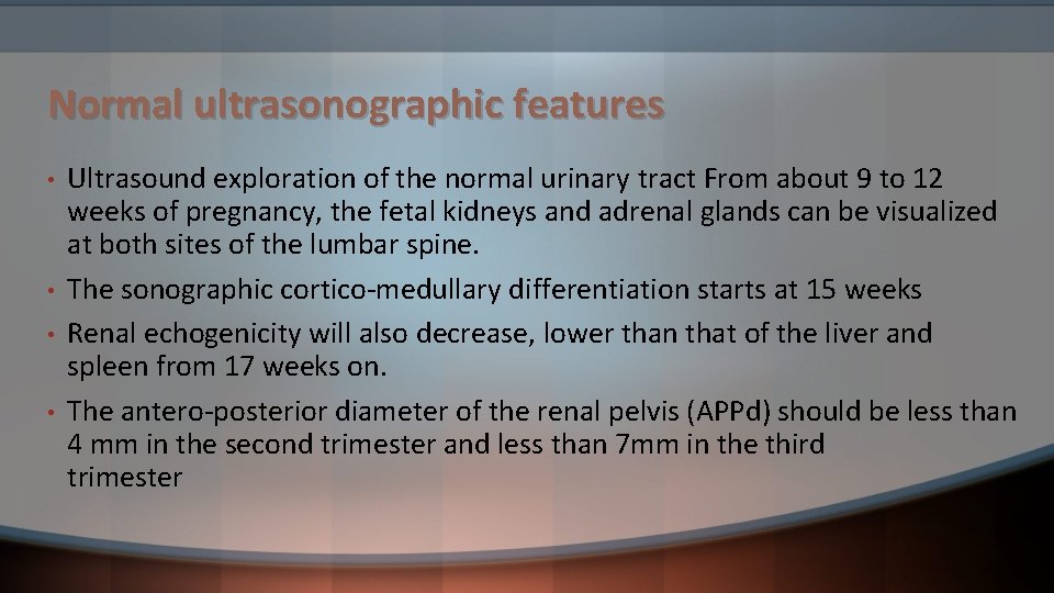 Normal ultrasonographic features • • Ultrasound exploration of the normal urinary tract From about