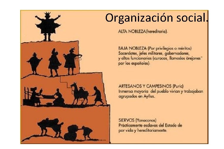 Organización social. 