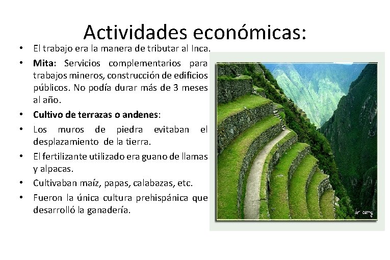 Actividades económicas: • El trabajo era la manera de tributar al Inca. • Mita: