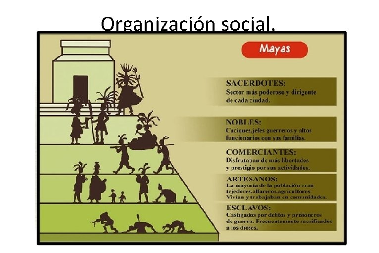Organización social. 
