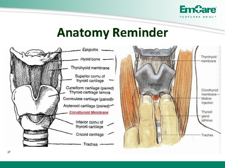 Anatomy Reminder 27 