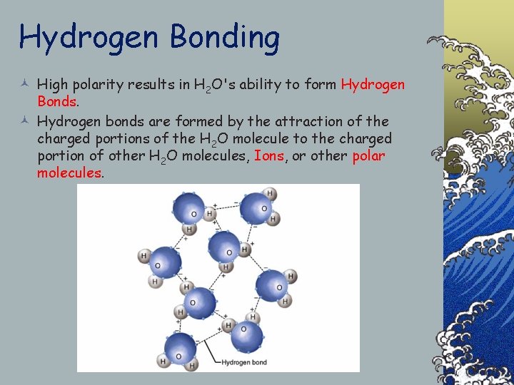 Hydrogen Bonding © High polarity results in H 2 O's ability to form Hydrogen