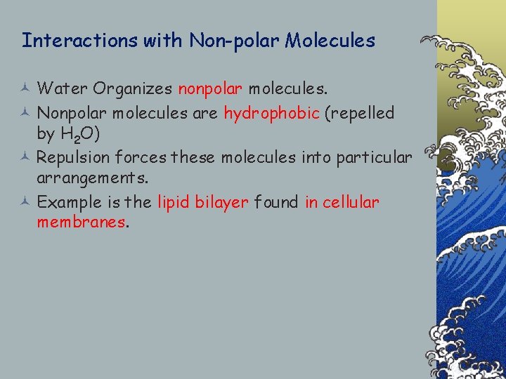 Interactions with Non-polar Molecules © Water Organizes nonpolar molecules. © Nonpolar molecules are hydrophobic