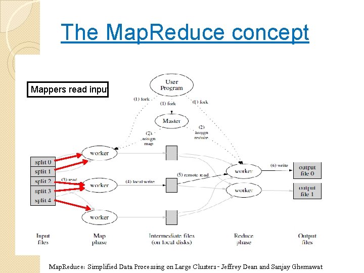 The Map. Reduce concept Mappers read input Map. Reduce: Simplified Data Processing on Large