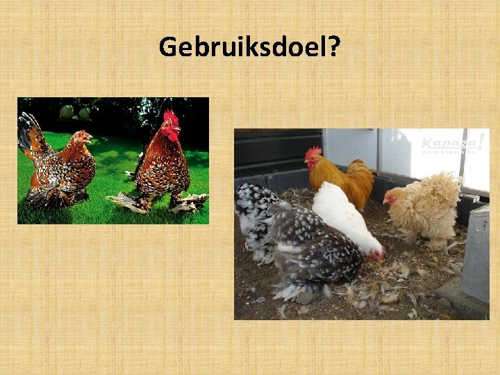 Gebruiksdoel? 