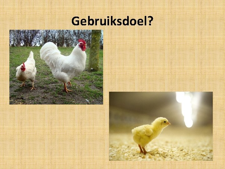 Gebruiksdoel? 