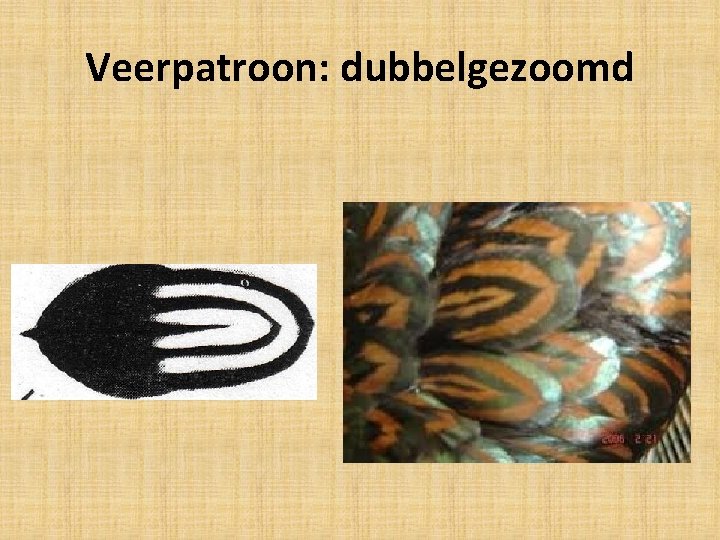 Veerpatroon: dubbelgezoomd 